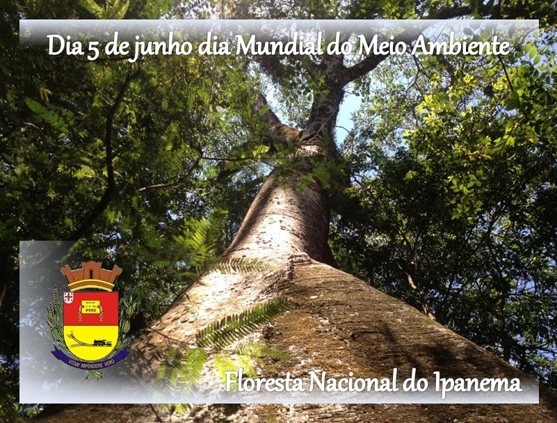 Imagem da Notícia